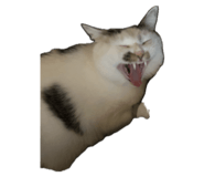 839743094