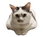 839743098