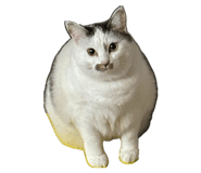 839743099