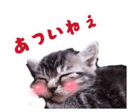 839743203
