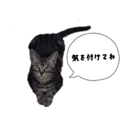 839743205