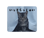 839743208