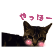 839743213