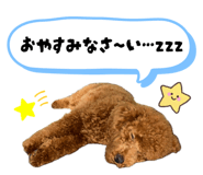 839743218