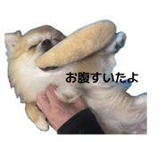 839743349