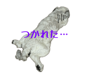 839743365