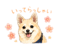 839743752