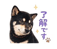 839743893