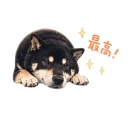 839743901