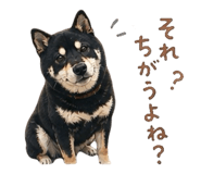 839743902