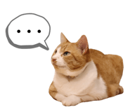 839744065