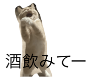 839744554