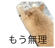 839744559