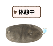 839744843