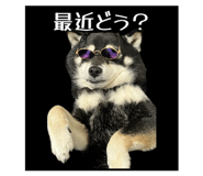 839745009
