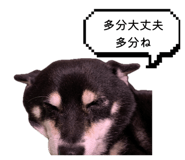 839745012