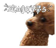 839745155