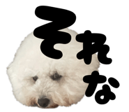 839745750