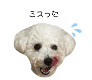 839746504