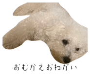 839746506