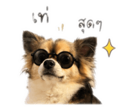 839747938