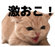 839748085