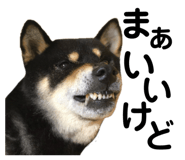 839748197