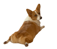 839749489
