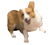 839749510