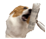 839749527
