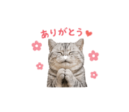 839750036