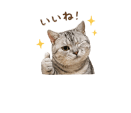 839750037