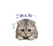 839750038