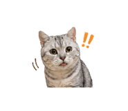 839750039