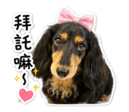 839750046