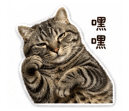 839750122
