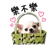 839750443