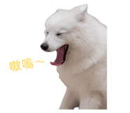 839750608