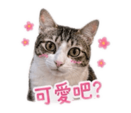 839750771