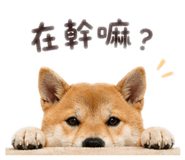 839750902