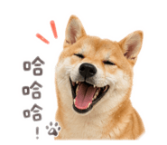 839750911