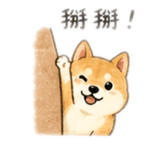 839751800