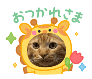839752455