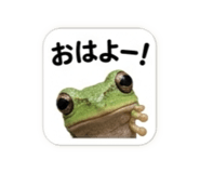 839753377