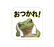 839753381