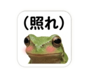839753397