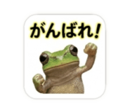 839753398