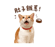 839754555