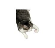 839755082