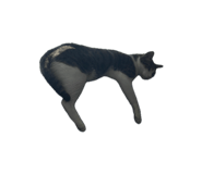 839755087